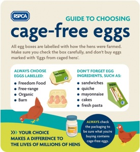 RSPCA guide to cage free eggs